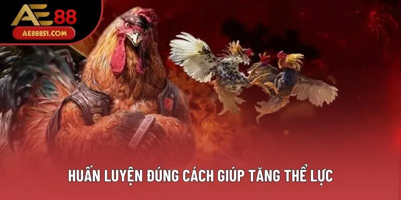 Huấn luyện đúng cách giúp tăng thể lực