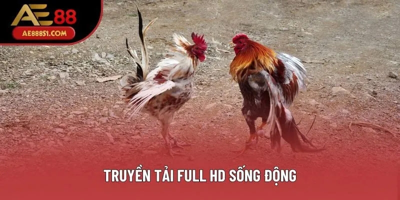 Truyền tải Full HD sống động Truyền tải Full HD sống động