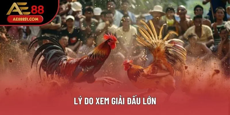 Lý do xem giải đấu lớn