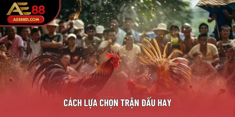 Cách lựa chọn trận đấu hay