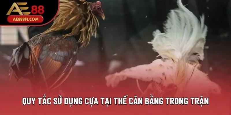 Quy tắc sử dụng cựa tại thế cân bằng trong trận Quy tắc sử dụng cựa tại thế cân bằng trong trận