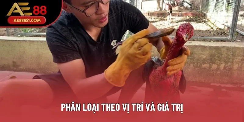 Phân loại theo vị trí và giá trị Phân loại theo vị trí và giá trị