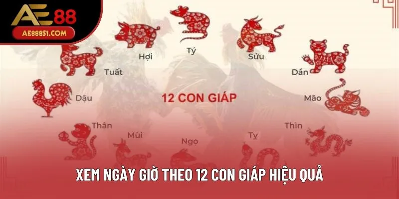 Xem ngày giờ theo 12 con giáp hiệu quả Xem ngày giờ theo 12 con giáp hiệu quả
